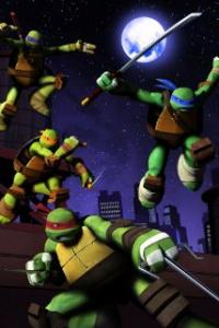 Teenage Mutant Ninja Turtles (TV) Artwork