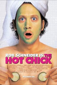 Hot Chick Artwork