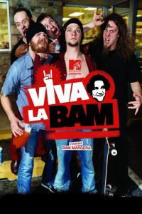 Viva La Bam Artwork