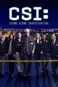 CSI: Crime Scene Investigation Artwork