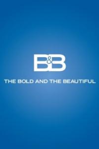 Bold and The Beautiful Artwork
