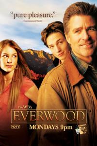 Everwood Artwork