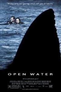 Open Water Artwork