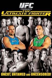 Ultimate Fighter Artwork