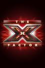 the-x-factor